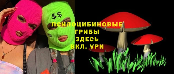 шишки Арсеньев