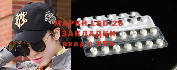 шишки Арсеньев