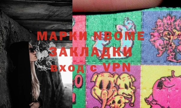 шишки Арсеньев