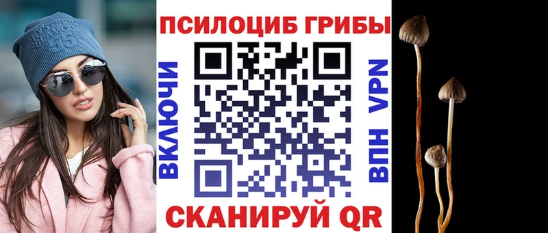 Псилоцибиновые грибы мухоморы  купить наркотики цена  Очёр 