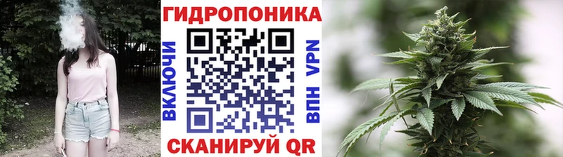 Бошки Шишки THC 21%  mega зеркало  Очёр 